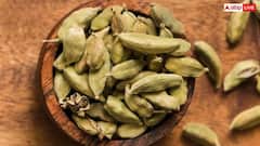 7 दिन तक खाएं हरी इलायची, सेहत को मिलेंगे चमत्कारी फायदे