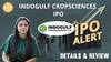Indogulf Cropsciences IPO में invest करने से पहले जानें GMP, Review Status और allotment | Paisa Live