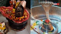 शिवलिंग और ज्योतिर्लिंग के बारे में कितना जानते हैं आप, शक्ति और विष्णु शिवलिंग में क्या है अंतर?