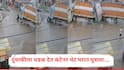 जालन्यात भीषण अपघात, बाईकस्वाराला चिरडून कंटेनर थेट घरात शिरला, थरारक व्हिडीओ व्हायरल