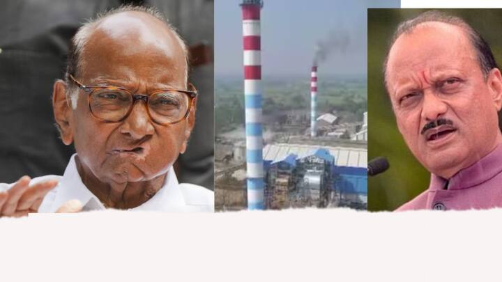 महिलांसाठी राखीव असलेल्या प्रवर्गातून संगीता कोकरे  आणि ज्योती मुलमुले  विजयी झाल्या.