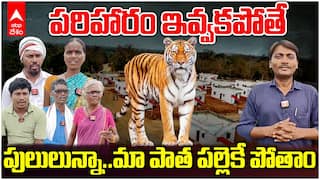 Kawal Tiger Reserve Villagers Problems | భూమి, పరిహారం కావాల్సిందే..లేదంటే పులి తిరిగే చోటుకే పోతాం | ABP Desam