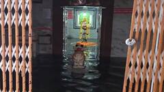 Gujarat Rain Live Updates: સુરત જિલ્લામાં ધોધમાર વરસાદ, કીમના મહાદેવ મંદિરમાં ભરાયા પાણી