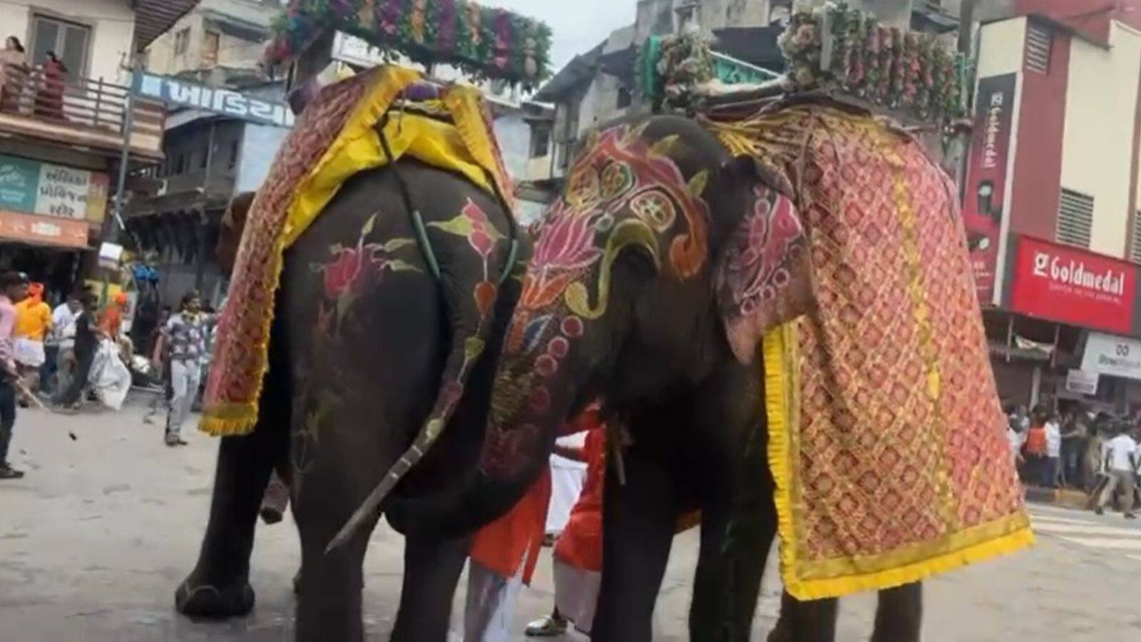 Ratha Yatra 2025: আমদাবাদে রথযাত্রায় বিপত্তি, ডিজে-র বিকট শব্দে উত্তেজিত হয়ে পড়ে ভিড়ের মধ্যে ছুটল দাঁতাল, আহত ৩ !