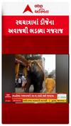 Ahmedabad Rath Yatra : રથયાત્રામાં ડીજેના અવાજથી ભડક્યા ગજરાજ, 3 લોકો ઘાયલ