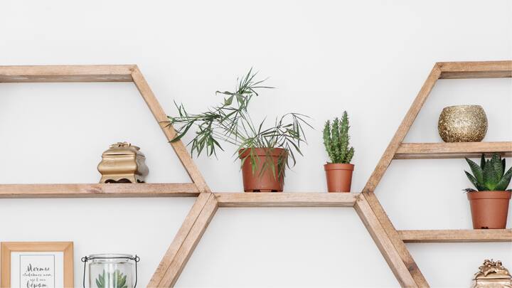 Upcycled and Minimal Decor: Creation of Dekor pieces with old materials helps with sustainable development and exposes creativity such as up wood shelves or antique trunks with recycled elements, all of which are under minimalism, while excess chairs bring a more open but quieter look into the room that is aligned with sustainable values. (Image source: Canva)