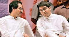 सालों बाद एकसाथ ठाकरे भाई! राज-उद्धव ठाकरे मिलकर करने जा रहे बड़ा आंदोलन, निशाने पर कौन?