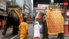 रथ यात्रा में हाथी हुए बेकाबू, जान बचाने को गलियों में भागे लोग, देखें वायरल वीडियोे