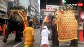 रथ यात्रा में हाथी हुए बेकाबू, जान बचाने को गलियों में भागे लोग, देखें वायरल वीडियोे