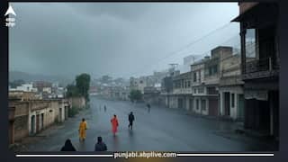 Punjab Weather Today: ਪੰਜਾਬ 'ਚ 5.9 ਮਿ.ਮੀ. ਮੀਂਹ ਦਰਜ; ਅੱਜ 4 ਜ਼ਿਲ੍ਹਿਆਂ ਵਿੱਚ ਮੀਂਹ ਦਾ ਅਲਰਟ, 30 ਜੂਨ ਤੱਕ ਮੀਂਹ ਤੇ ਤੇਜ਼ ਹਵਾਵਾਂ ਦੀ ਵਾਰਨਿੰਗ