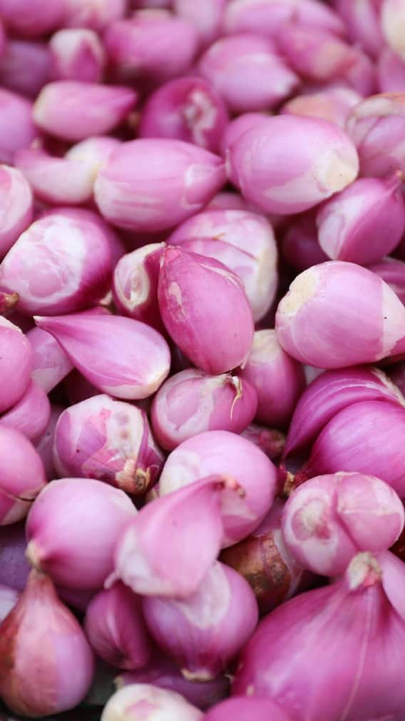 भारत में सबसे ज्यादा कहां होती है प्याज की खेती?