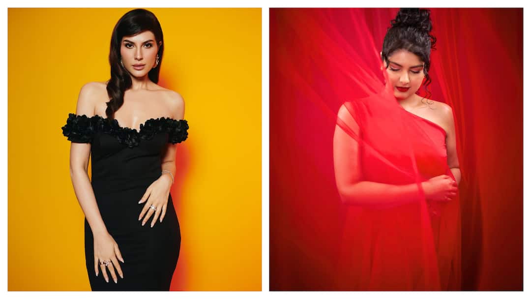 The Traitors: Elnaaz Norouzi, Anshula Kapoor Eliminated, A New Traitor Emerges Before The Finale The Traitors: Elnaaz Norouzi, Anshula Kapoor Eliminated, A New Traitor Emerges Before The Finale