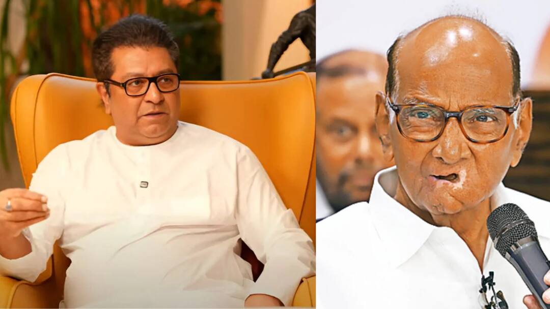 Sharad Pawar on Hindi: सरकारने पहिली ते चौथीला हिंदीचा हट्ट करु नये, महत्त्वाचा मुद्दा असेल तर राज ठाकरेंच्या मोर्चात सहभागी होईन: शरद पवार Sharad Pawar statement on is they going to join MNS Raj Thackeray Uddhav Thackeray Morcha against Hindi compulsion in Maharashtra Sharad Pawar on Hindi: सरकारने पहिली ते चौथीला हिंदीचा हट्ट करु नये, महत्त्वाचा मुद्दा असेल तर राज ठाकरेंच्या मोर्चात सहभागी होईन: शरद पवार