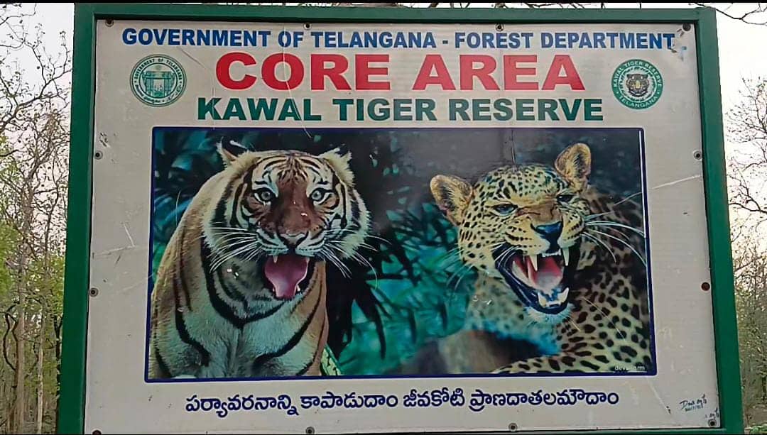 Adilabad Latest News: ఆదిలాబాద్‌ జిల్లా గిరిజనుల అల్టిమేటం- టైగర్ జోన్‌లోకి వెళ్లిపోతున్నామని హెచ్చరిక !