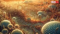 जहरीली फंगस से बनी कैंसर को हराने वाली दवा, पीड़ितों को मिली नई उम्मीद