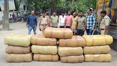 यूपी एसटीएफ को मिली बड़ी सफलता, 96 लाख रुपये के गांजे के साथ तीन तस्कर गिरफ्तार