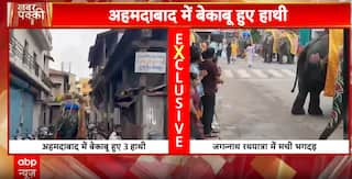 Panic in Ahmedabad: Elephants Run Amok During Rath Yatra, Four Injured | ABP NEWS