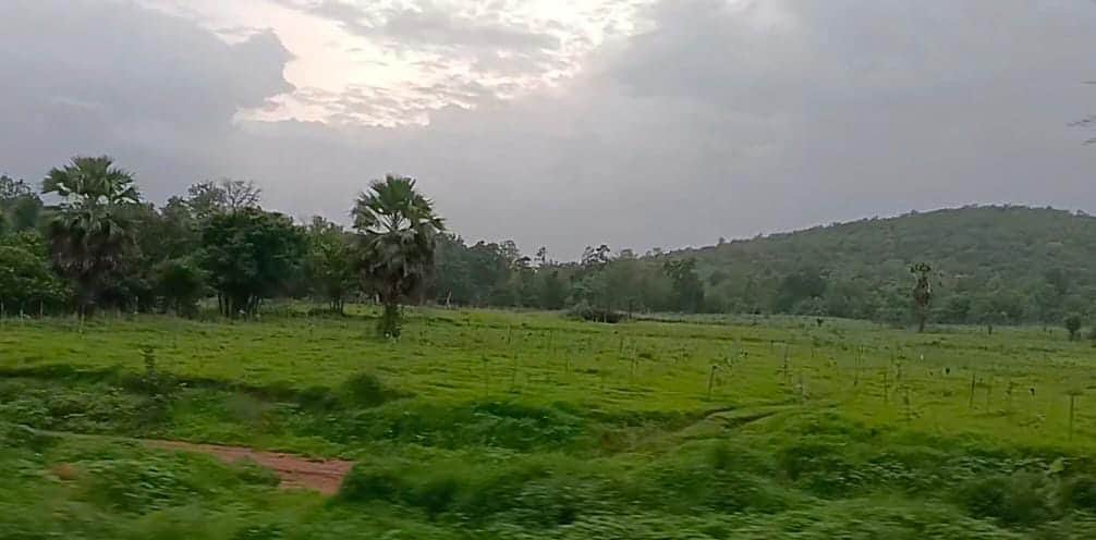 Adilabad Latest News: ఆదిలాబాద్‌ జిల్లా గిరిజనుల అల్టిమేటం- టైగర్ జోన్‌లోకి వెళ్లిపోతున్నామని హెచ్చరిక !