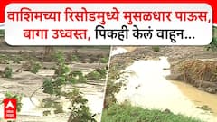 Washim Heavy Rainfall : वाशिमच्या रिसोडमुध्ये मुसळधार पाऊस, बागा उध्वस्त, पिकही केलं वाहून...