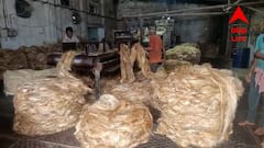 মিলছে না পুরীর রথের দড়ি তৈরির বরাত, মন খারাপ বাংলার শ্রমিকদের