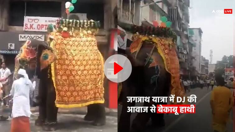 Ahmedabad stampede in Jagannath Yatra After Elephant went out of control अहमदाबाद: जगन्नाथ यात्रा में DJ की आवाज से बेकाबू हुए 3 हाथी, अफरातफरी में 4 लोग घायल