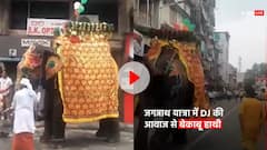 अहमदाबाद: जगन्नाथ यात्रा में DJ की आवाज से बेकाबू हुए 3 हाथी, अफरातफरी में 4 लोग घायल