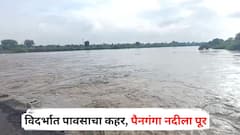 विदर्भात पावसाचा कहर, पैनगंगा नदीला पूर, शेतकऱ्यांचं मोठं नुकसान; नाशिकच्या दिंडोरीतही जोरदार बॅटिंग, आज 'या' जिल्ह्यांना ऑरेंज अलर्ट