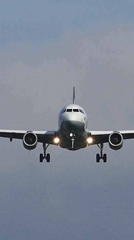 विमानामध्ये हॉर्न असतो का?