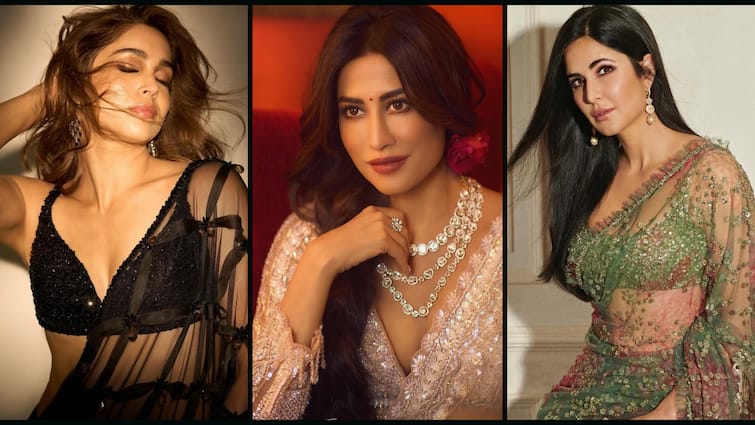 ट्रांसपैरेंट साड़ी के साथ ऐसे-ऐसे ब्लाउज पहनती हैं ये बॉलीवुड एक्ट्रेस, तस्वीरें देखने के बाद नजर नहीं हटा पाएंगे