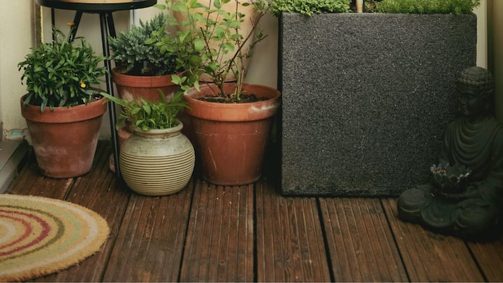 Environmentally friendly floor coverings and colors: For environmentally conscious people, the selection of bamboo floors can serve as long -lasting green construction choice due to their economically friendly attributes as well as cork soil and recycled tiles that offer similar advantages. Together with Limewash, the surfaces on a tone -based surfaces meet the trim needs under toxic conditions that enable clean air in closed rooms such as salt spaces. (Image source: Canva)