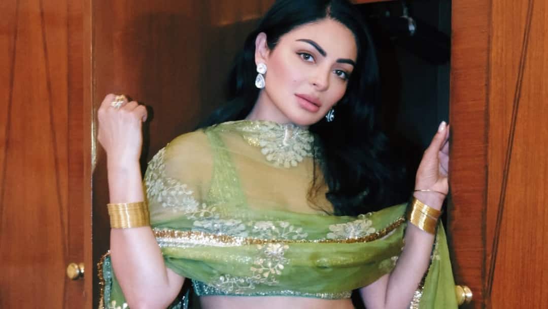 Neeru Bajwa Deletes 'Sardaar Ji 3' Posts Amid Hania Aamir Backlash, Netizens React Neeru Bajwa Deletes Diljit Dosanjh Sardaar Ji 3 Posts Amid Hania Aamir Backlash Netizens React Neeru Bajwa Deletes 'Sardaar Ji 3' Posts Amid Hania Aamir Backlash, Netizens React