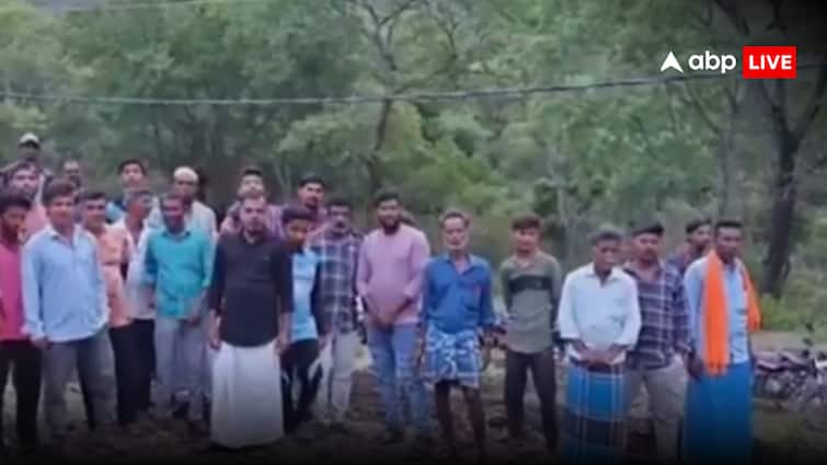 Karnataka MM Hills: MM हिल्स में एक मादा बाघ समेत 4 शावकों की मौत से हड़कंप, CM भी परेशान, जांच का आदेश