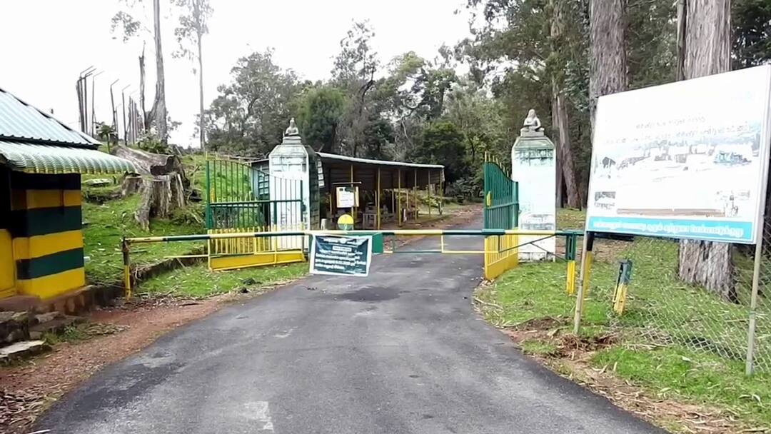 Dindigul news Kodaikanal tourists ban reason for Increase in elephant movement tnn கொடைக்கானலில் சுற்றுலா பயணிகளுக்கு திடீர் தடை - காரணம் என்ன?