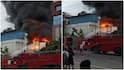 Fire Breaks Out at Noida Firm in Sector 2; Fire Tenders Rushed In