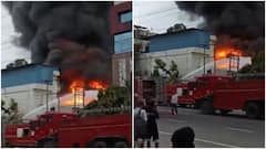 Noida Chemical Factory Gutted In Massive Fire: VIDEO