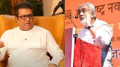 महाराष्ट्रात पहिलीपासून तिसरी भाषा का शिकवायला नको? राज ठाकरेंच्या थिंक टँकमधील मेंबरने सांगितली 6 मोठी कारणं