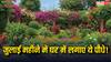 Vastu Tips For Plant: वास्तु शास्त्र के अनुसार जुलाई में घर लाएं ये पौधे! सुख-समृद्धि के साथ मिलेगी शांति?