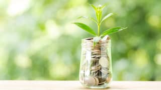 Mutual Funds Not Cutting It? Here’s When To Switch To PMS