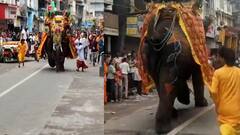 Ahmedabad Rath Yatra 2025: રથયાત્રામાં ખાડિયા પાસે ત્રણ ગજરાજ બન્યા બેકાબૂ, ભડકેલા ગજરાજ પોળમાં ઘૂસી ગયા