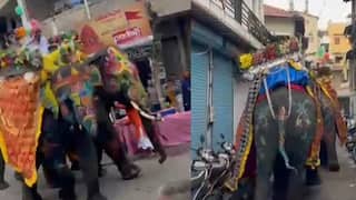 Ahmedabad Rath Yatra Live: રથયાત્રામાં DJના વધુ પડતા અવાજથી કેટલાક ગજરાજ ભડક્યા, બેથી ત્રણ લોકોને પહોંચી ઈજા