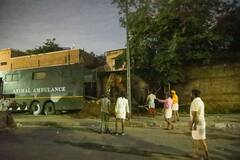 અમદાવાદ રથયાત્રામાં ઉશ્કેરાયેલા હાથીઓની મદદે વનતારા, તાત્કાલીક મોકલી ટીમ