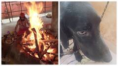 மூழ்கடிக்கும் மூடநம்பிக்கை.. செல்லப்பிராணியை பலி கொடுத்த பெண்.. பெங்களூருவில் பரபர