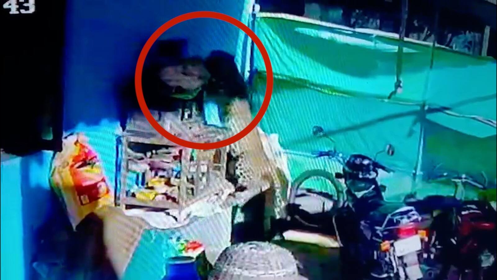 பாலக்கோடு அருகே மீண்டும் சிறுத்தை அட்டகாசம்! ஒரே வீட்டில் மூன்றாவது முறையாக வேட்டை! பகீர் CCTV காட்சி