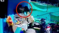 பாலக்கோடு அருகே மீண்டும் சிறுத்தை அட்டகாசம்! ஒரே வீட்டில் மூன்றாவது முறையாக வேட்டை! பகீர்  CCTV காட்சி