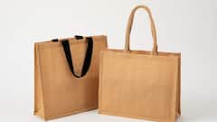 India Tightens Jute Import Rules From Bangladesh Amid Surge In Subsidised Goods And Mill Closures