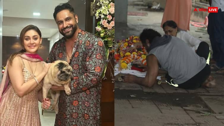 Shefali Jariwala Funeral: पंचतत्व में विलीन हुईं शेफाली जरीवाला, पति का रो-रोकर हुआ बुरा हाल, बेहाल दिखा परिवार