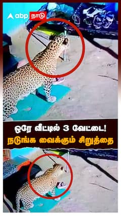 Cheetah Attack CCTV : ஒரே வீட்டில் 3 வேட்டை !நடுங்க வைக்கும் சிறுத்தை