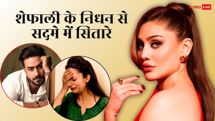 'सदमे में हूं, शॉकिंग...', Shefali Jariwala की मौत से सेलेब्स को लगा झटका, अली गोनी से मीका सिंह तक ने जताया दुख