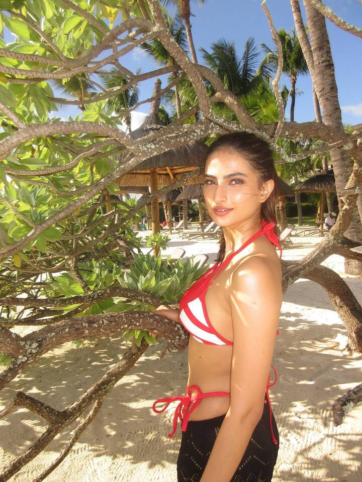 પલક તિવારી નાનપણથી જ અભિનય સાથે જોડાયેલી છે. વાસ્તવમાં, પલક તિવારીની માતા શ્વેતા તિવારી અને તેના પિતા રાજા ચૌધરી અભિનય ક્ષેત્ર સાથે જોડાયેલા છે.