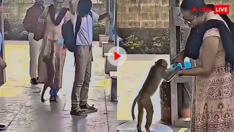 उफ्फ ये गर्मी! बंदर को लगी प्यास तो इस तरह मांगा पानी, दयावान आंटी ने यूं दिखाया प्यार, वायरल